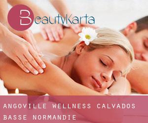 Angoville wellness (Calvados, Basse-Normandie)