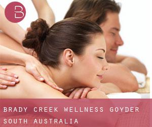 Brady Creek wellness (Goyder, South Australia)