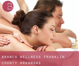Branch wellness (Franklin County, Arkansas)