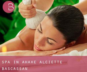 Spa in Ahaxe-Alciette-Bascassan