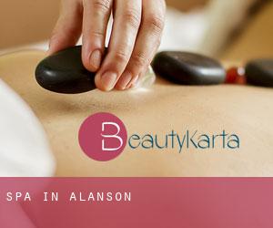 Spa in Alanson