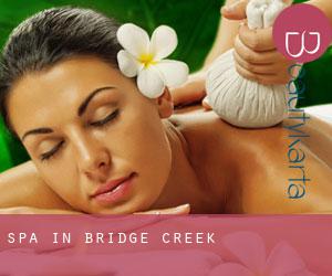 Spa in Bridge Creek