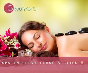 Spa in Chevy Chase Section 4
