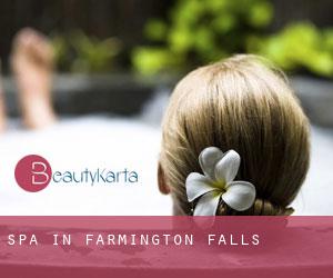 Spa in Farmington Falls