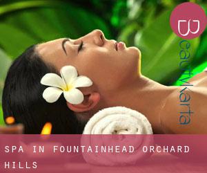 Spa in Fountainhead-Orchard Hills
