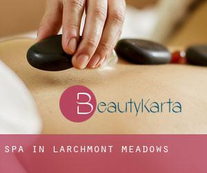 Spa in Larchmont Meadows