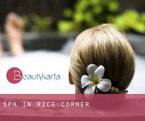 Spa in Rice Corner