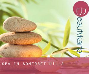Spa in Somerset Hills