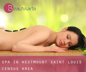 Spa in Westmount-Saint-Louis (census area)