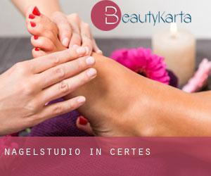 Nagelstudio in Certes