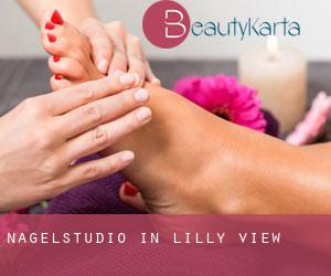 Nagelstudio in Lilly View