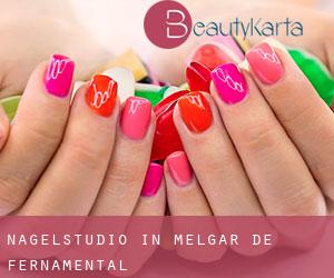 Nagelstudio in Melgar de Fernamental