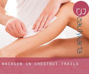 Wachsen in Chestnut Trails