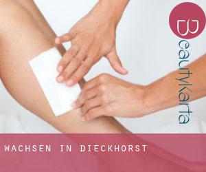 Wachsen in Dieckhorst