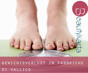Gewichtsverlust in Fabbriche di Vallico