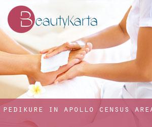 Pediküre in Apollo (census area)