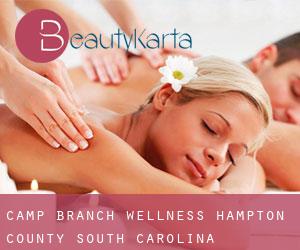 Camp Branch wellness (Hampton County, South Carolina)