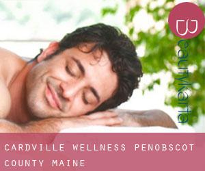 Cardville wellness (Penobscot County, Maine)