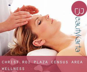 Christ-Roi-Plaza (census area) wellness