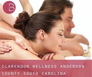 Clarendon wellness (Anderson County, South Carolina)
