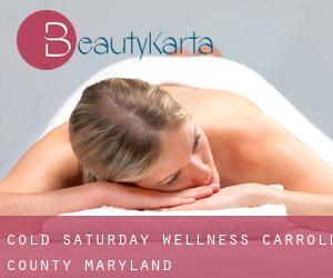 Cold Saturday wellness (Carroll County, Maryland)
