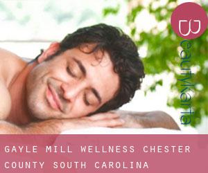 Gayle Mill wellness (Chester County, South Carolina)