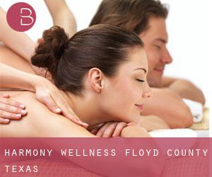 Harmony wellness (Floyd County, Texas)