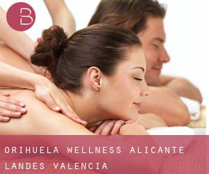 Orihuela wellness (Alicante, Landes Valencia)