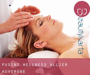 Pusini wellness (Allier, Auvergne)