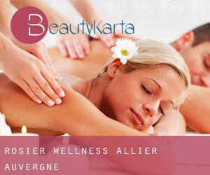 Rosier wellness (Allier, Auvergne)