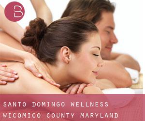 Santo Domingo wellness (Wicomico County, Maryland)