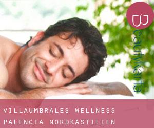 Villaumbrales wellness (Palencia, Nordkastilien)